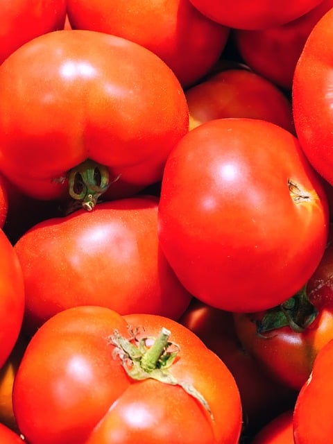 Free Vegetable Tomato photo and picture