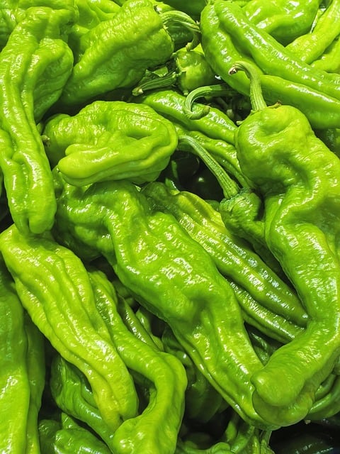 Free Vegetable Fresh photo and picture