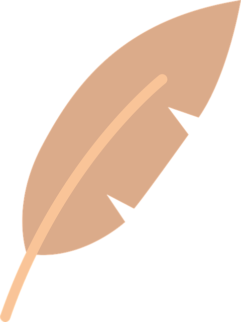 Free Feather Nature vector and picture