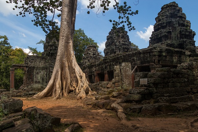 Kambodža, Ázii, Prírody, Angkor