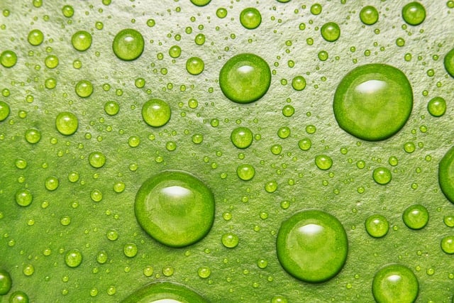 Free Droplets Abstract photo and picture