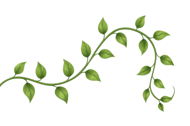 Free vine nature leaf illustration