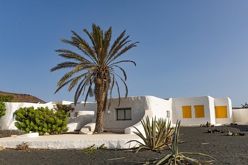 Stadt, Dorf, Insel, Lanzarote, Palm