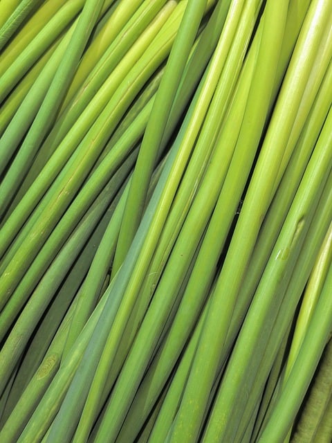 Free Vegetable Green photo and picture