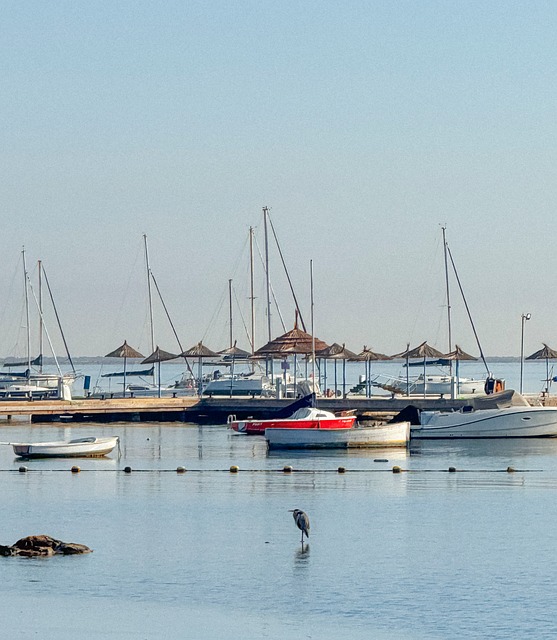 Zee, Reiger, Natuur, Boten, Poort, Lente