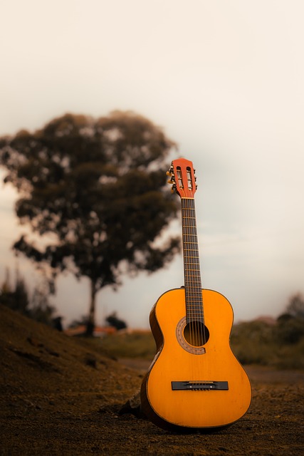 Gitarre, Natur, Musik, Baum, Himmel, Weg