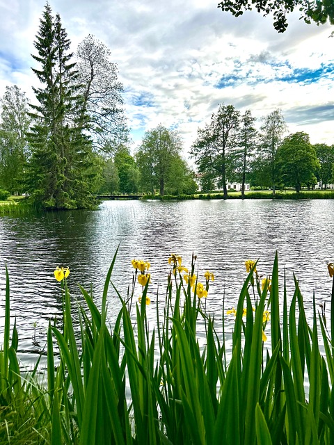 Free Nature Landscape photo and picture