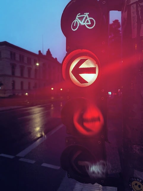 Cykeltrafiklys, Regn, Trafiklys, Vej