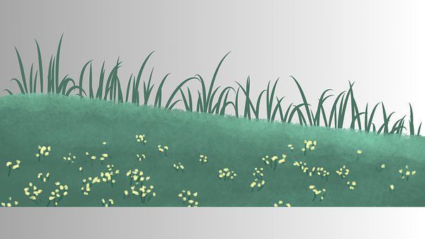 Hierba, Naturaleza, Césped, Verde, Prado