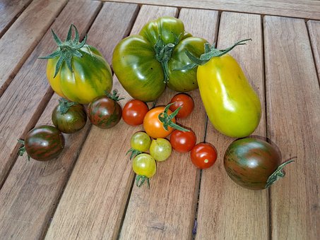 Free Garden Fruit photo and picture