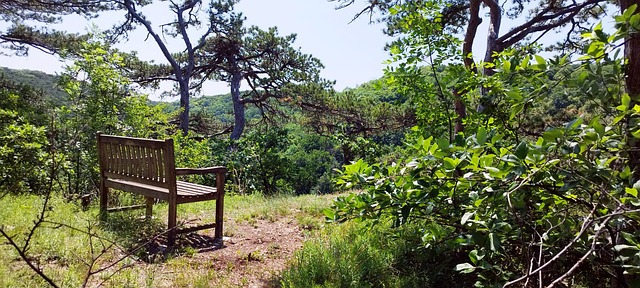 Free Landscape Nature photo and picture