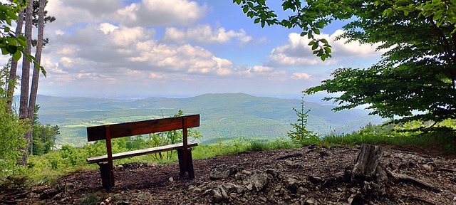 Free Landscape Nature photo and picture