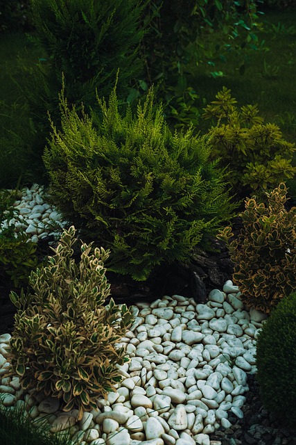 Gård, Design, Gulve, Natur, At Blomstre