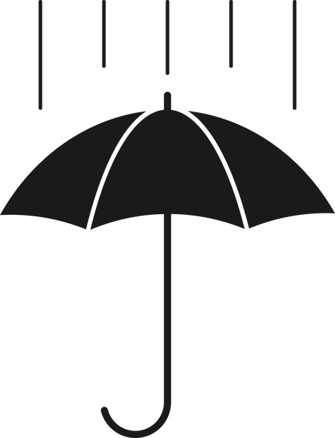 Free rain umbrella weather vector