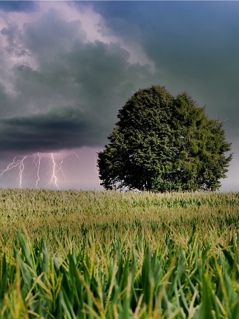 Sturm, Natur, Blitz, Wolken, Wetter