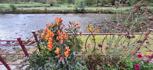 Fluss, Natur, Landschaft
