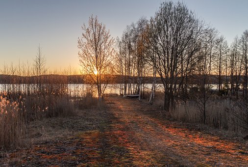 Free Evening Sunset photo and picture