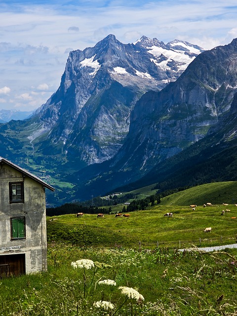 Wengen, Suíço, Montanha, Natureza