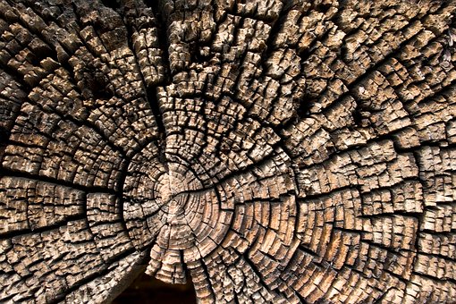 Free Wood Old Wood photo and picture