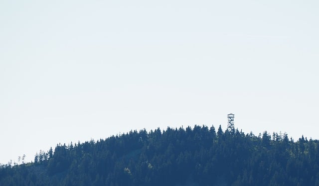 Udsigtstårn, Natur, Tårn, Træ, Himmel