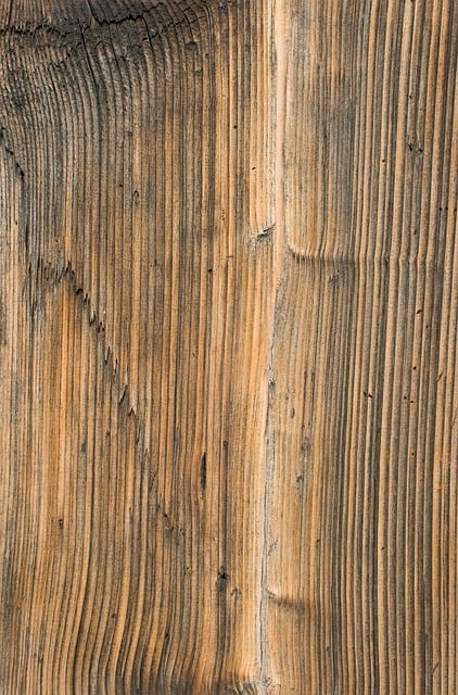 Free Wood Nature photo and picture