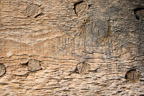 Free Wood Boards photo and picture