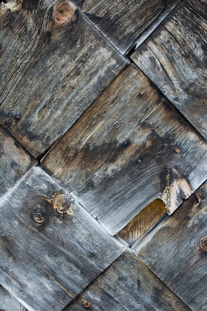 Free Old Wood Nature photo and picture