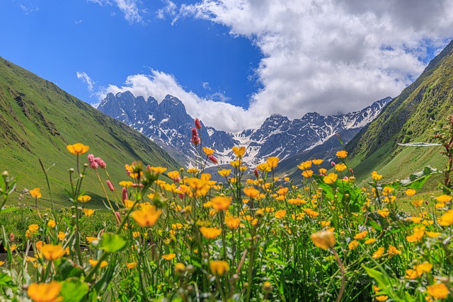Free Georgia Kazbegi photo and picture