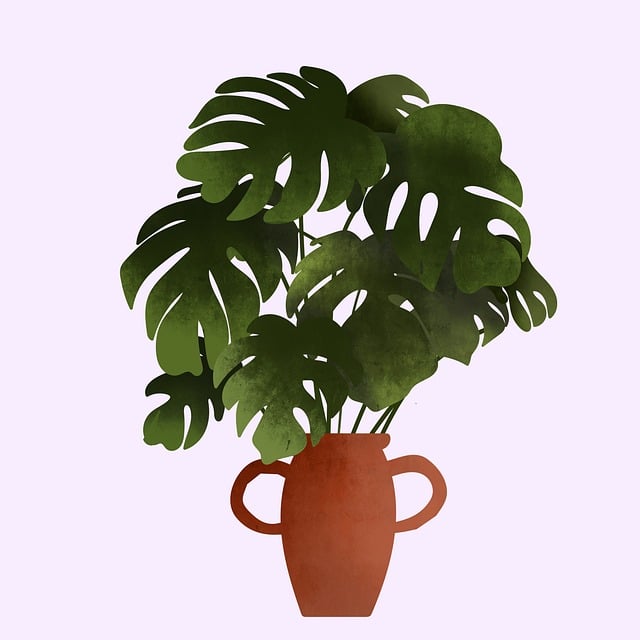monstera, plant, pot, houseplant, floral background, sheet, tropical, boho, bohemian, beautiful wallpaper, background, drawing, nature