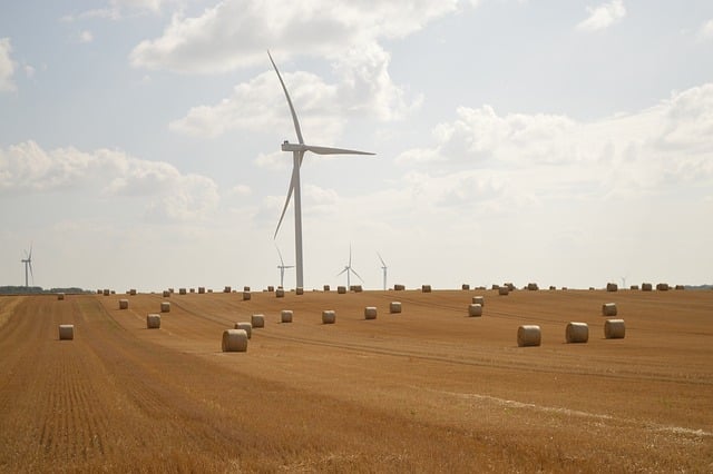 wind turbine, harvest, bundles, agriculture, straw, to harvest, nature, wheat, sky, cloudy