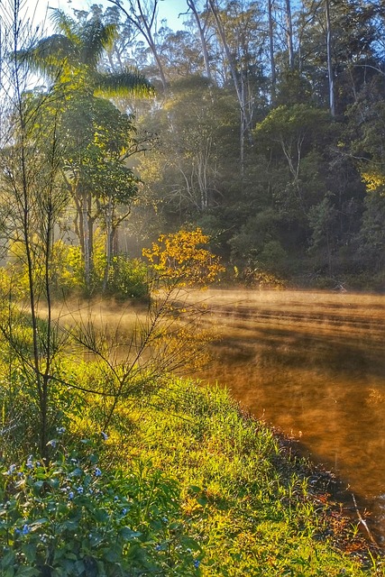 Russland, Natur, Agua, Wasserfall, Bäume
