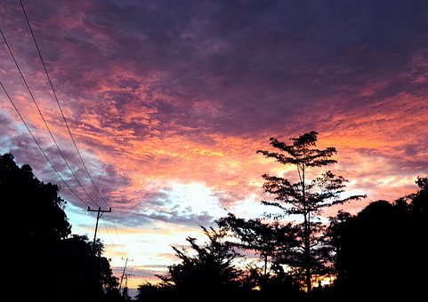 Visão, Panorama, Céu, Tarde, Arvores