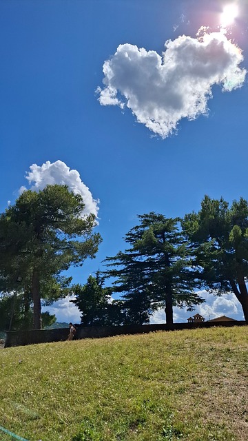 Free Heart Cloud photo and picture