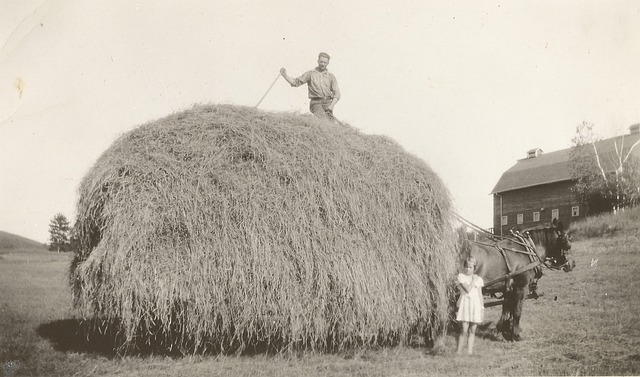 Free Vintage Farm photo and picture