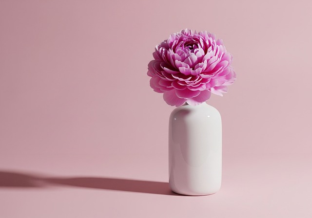 Free Minimalist Flower Pink Peony illustration and picture