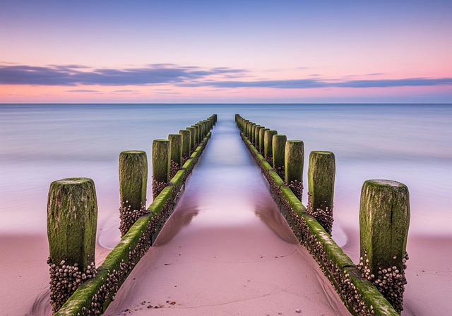 Free Wooden Breakwaters Beach Groynes illustration and picture