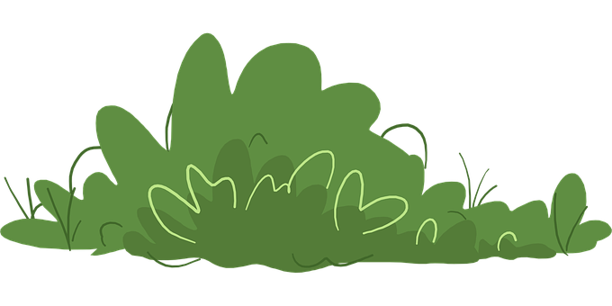 Free Bush Green vector and picture