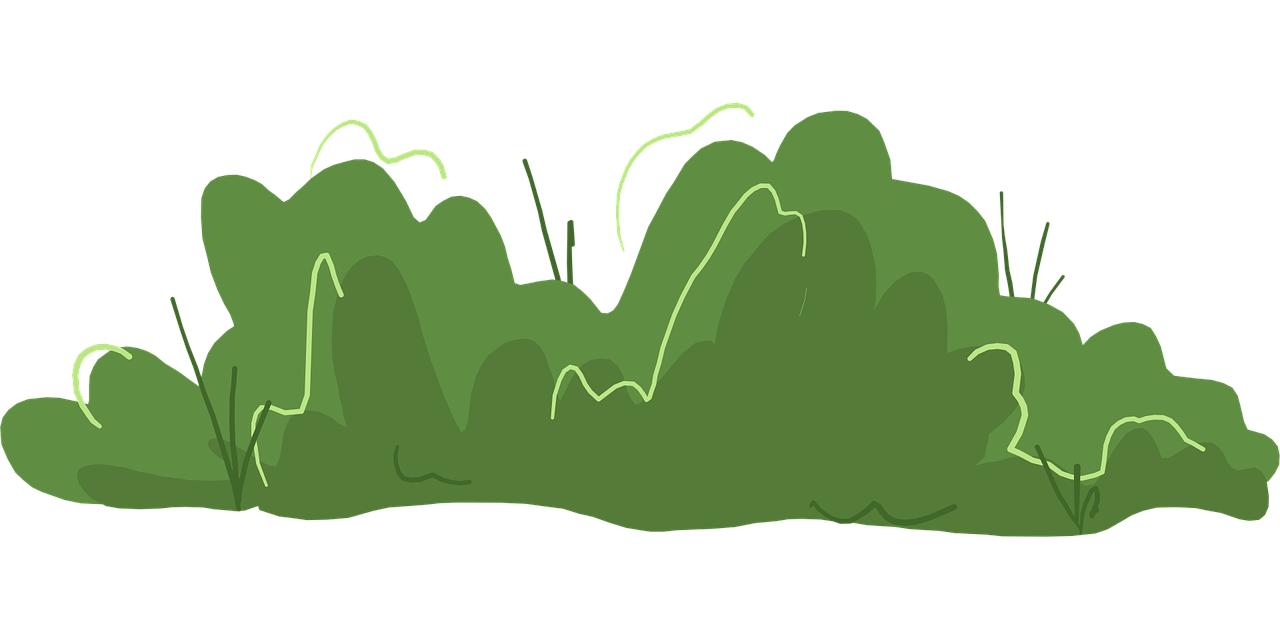 20,000+ Free Bush Cartoon & Nature Images - Pixabay
