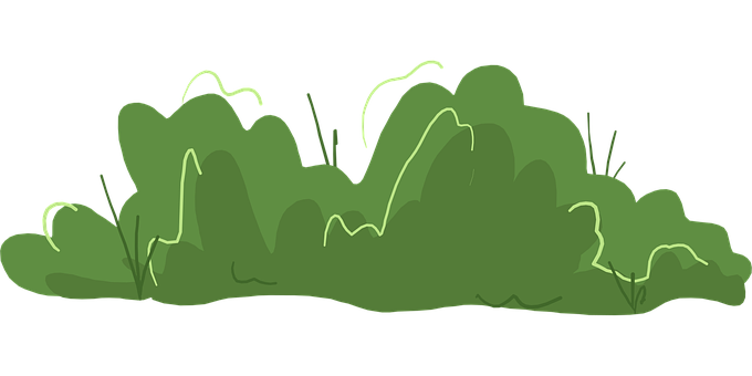 Free Bush Green vector and picture