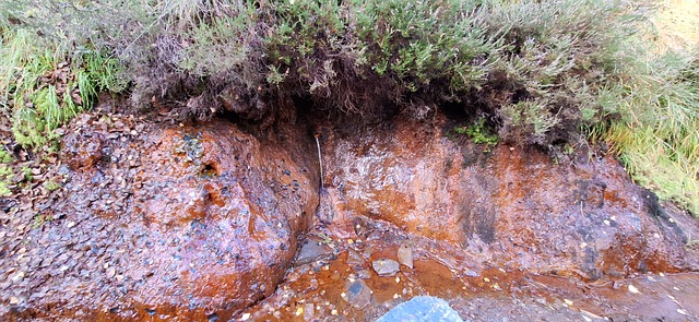 Natur, Wasser, Eisen