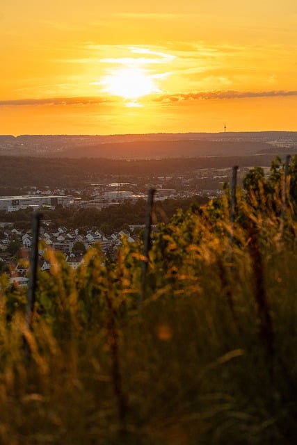 Metzingen, Sundown, Natur, Germany