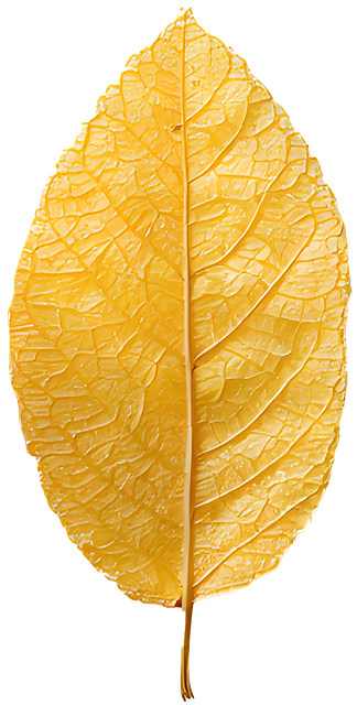 Free ai geneated leaf autumn leaves illustration