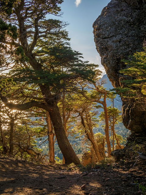 Free Travel Nature illustration and picture