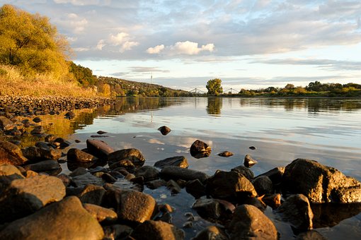 Dresden, Elbe, Herbst, Fluss, Ufer