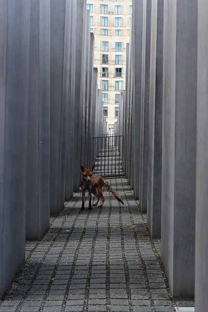 Free Berlin Holocaust photo and picture