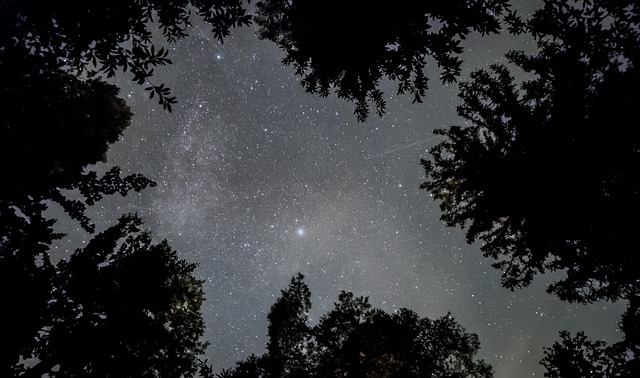 Free Stars Heaven photo and picture