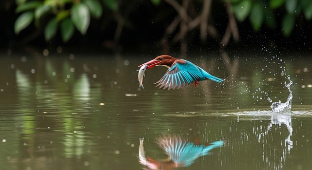 Free ai generated bird kingfisher illustration