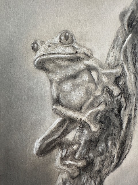 Free Graphite Charcoal photo and picture