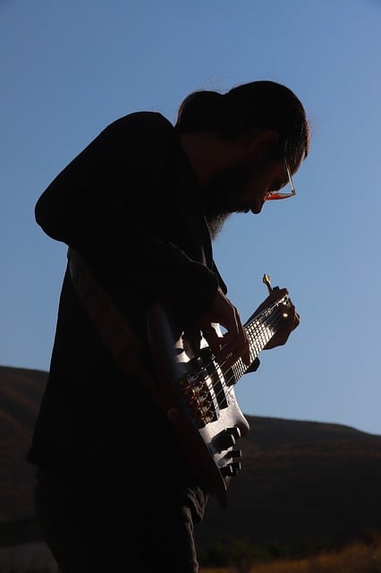 Hudobník, Basista, Gitarista, Interpret