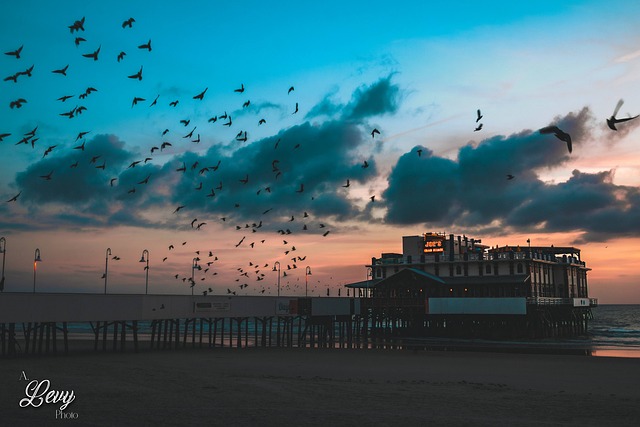 Free Sunrise Dawn photo and picture